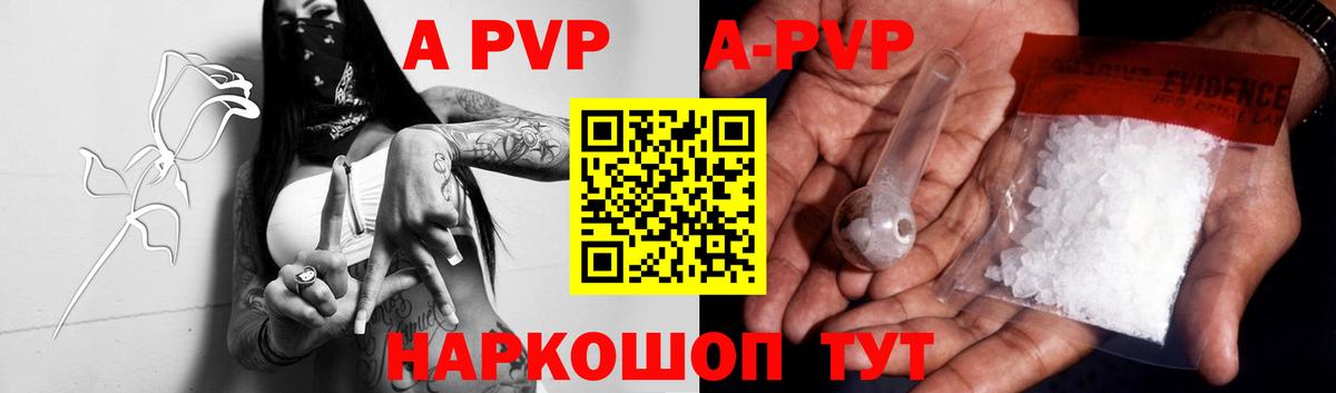 A-PVP СК КРИС  Alfa_PVP крисы CK  Вход с VPN  Гурьевск 