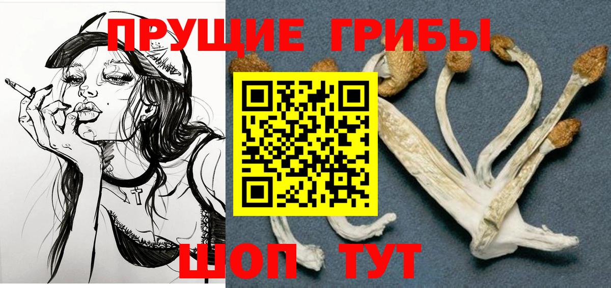 Гурьевск  Псилоцибиновые грибы мухоморы  Вход с VPN 